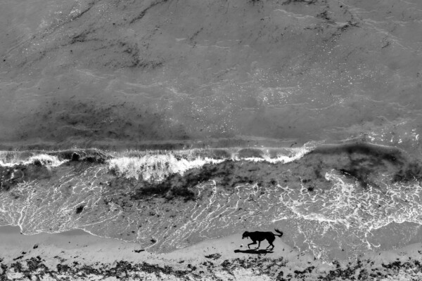 ISLAND - The Isle of Thanet, Kent - Image 9